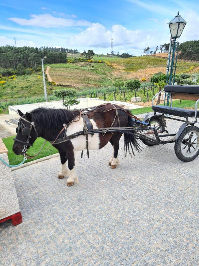 Quinta Da Laceira - Douro Valley - Alojamento Local Vila Real Ngoại thất bức ảnh