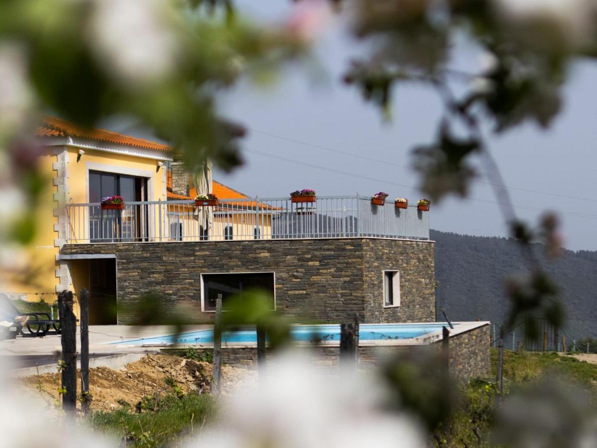 Quinta Da Laceira - Douro Valley - Alojamento Local Vila Real Ngoại thất bức ảnh